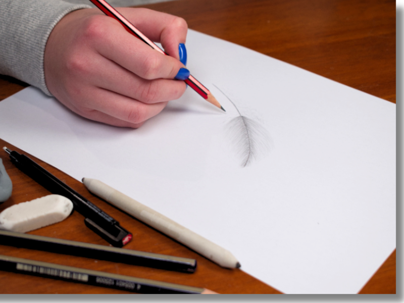 Homeschooling child drawing a feather