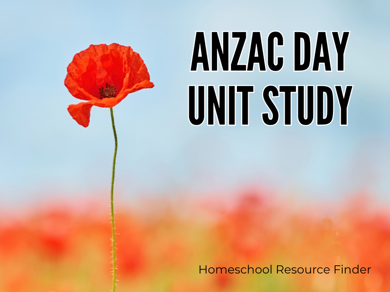 Image of an ANZAC Day Poppy for a homeschool unit study