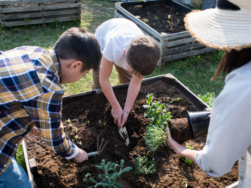 homeschooling children learning to garden as part of their every day life skills lessons